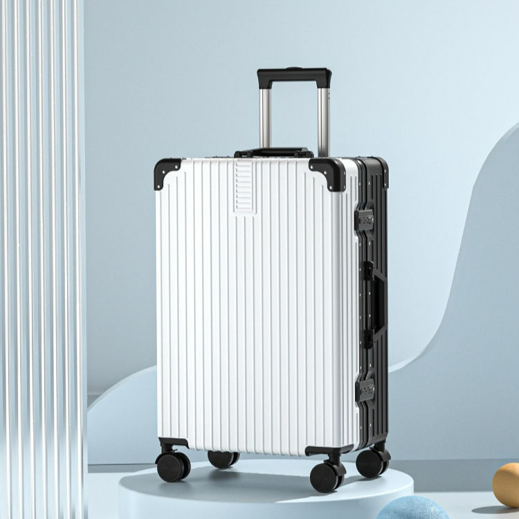 New 24-Inch Carry-On Luggage — Spacious & Durable Suitcase for Business Travel and Family Vacations